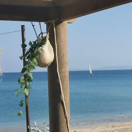 Apartment Azur 219 T2 Climatise *